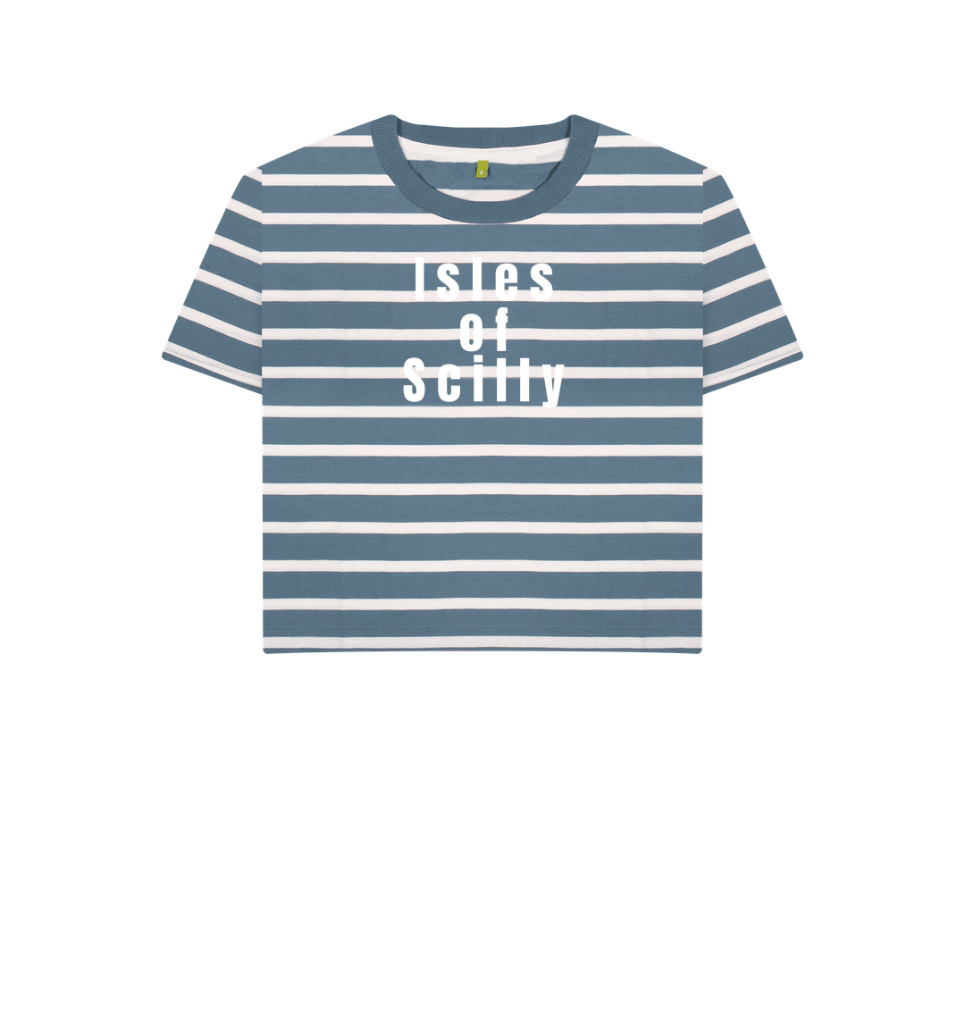 Blue Stripes Printed T-shirt
