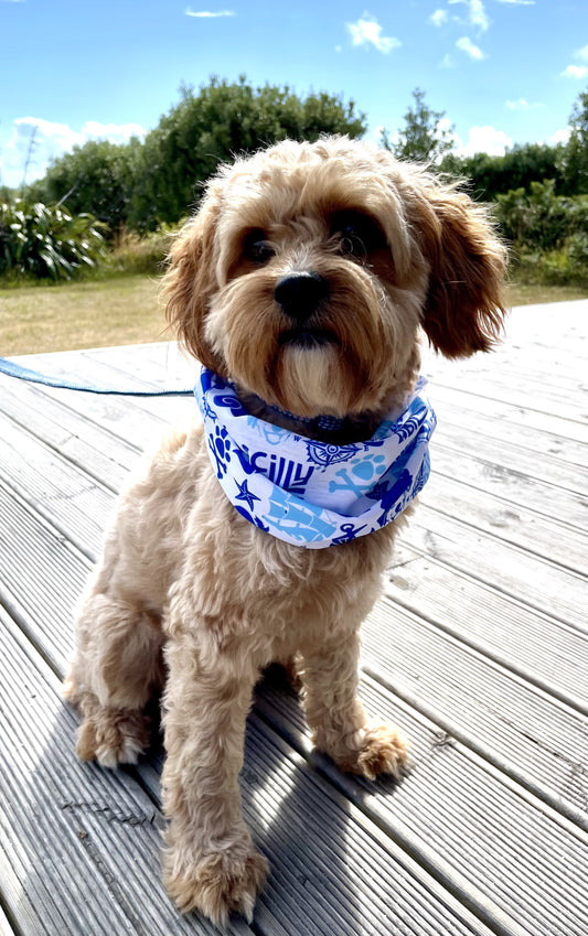 Dog Snood - Blue & White