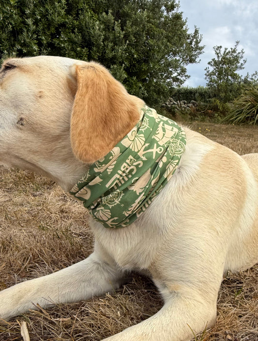 Dog Snood - Khaki
