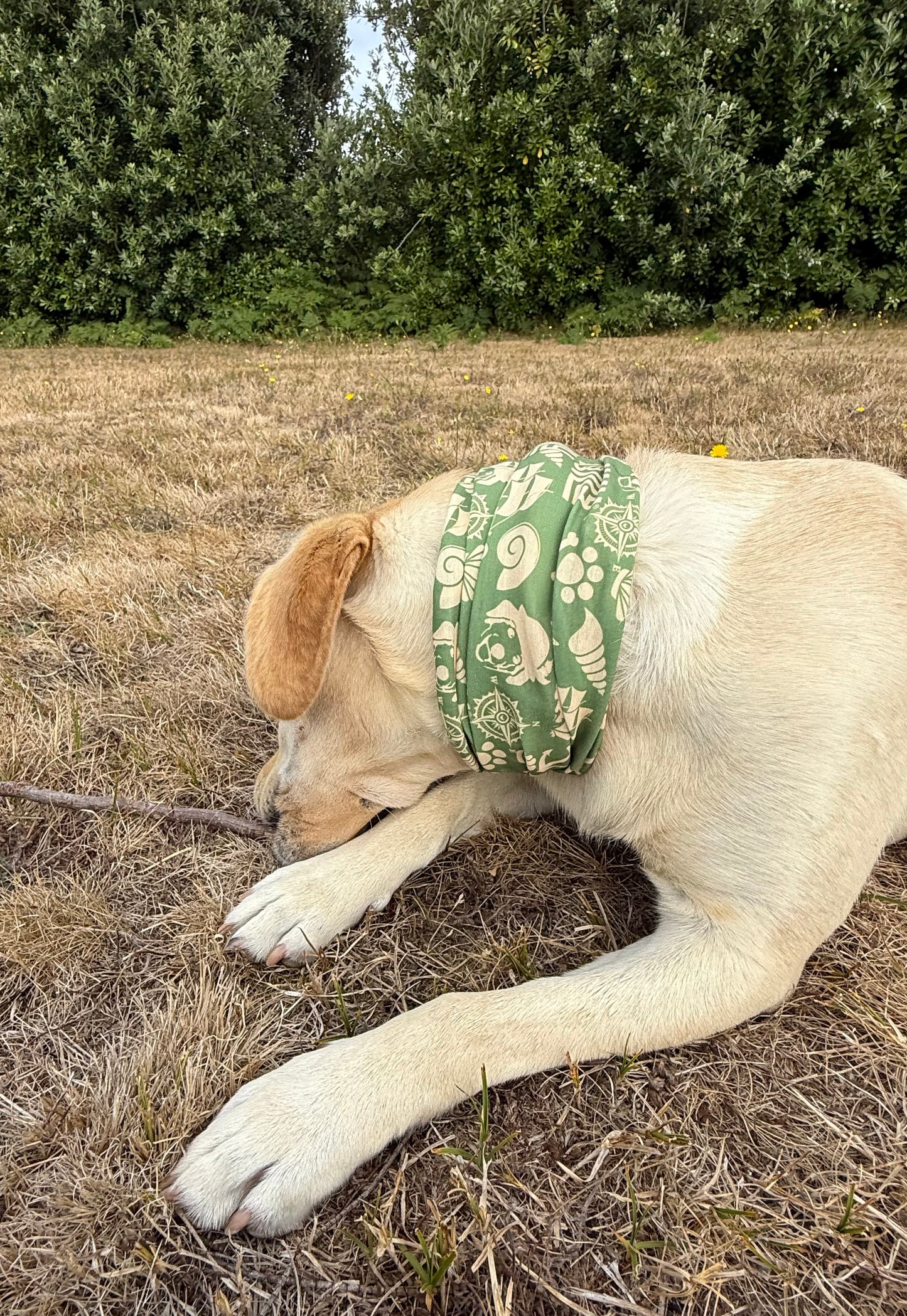 Dog Snood - Khaki
