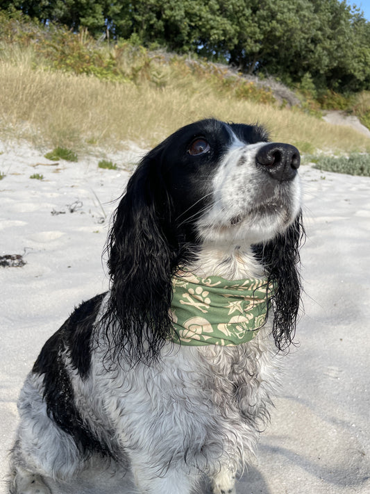 Dog Snood - Khaki